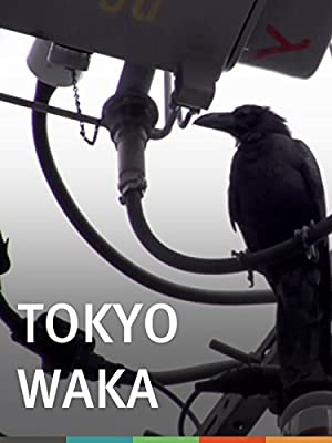 Tokyo Waka (2012) with English Subtitles on DVD on DVD